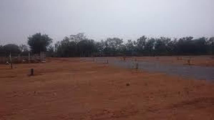 Plot sale
