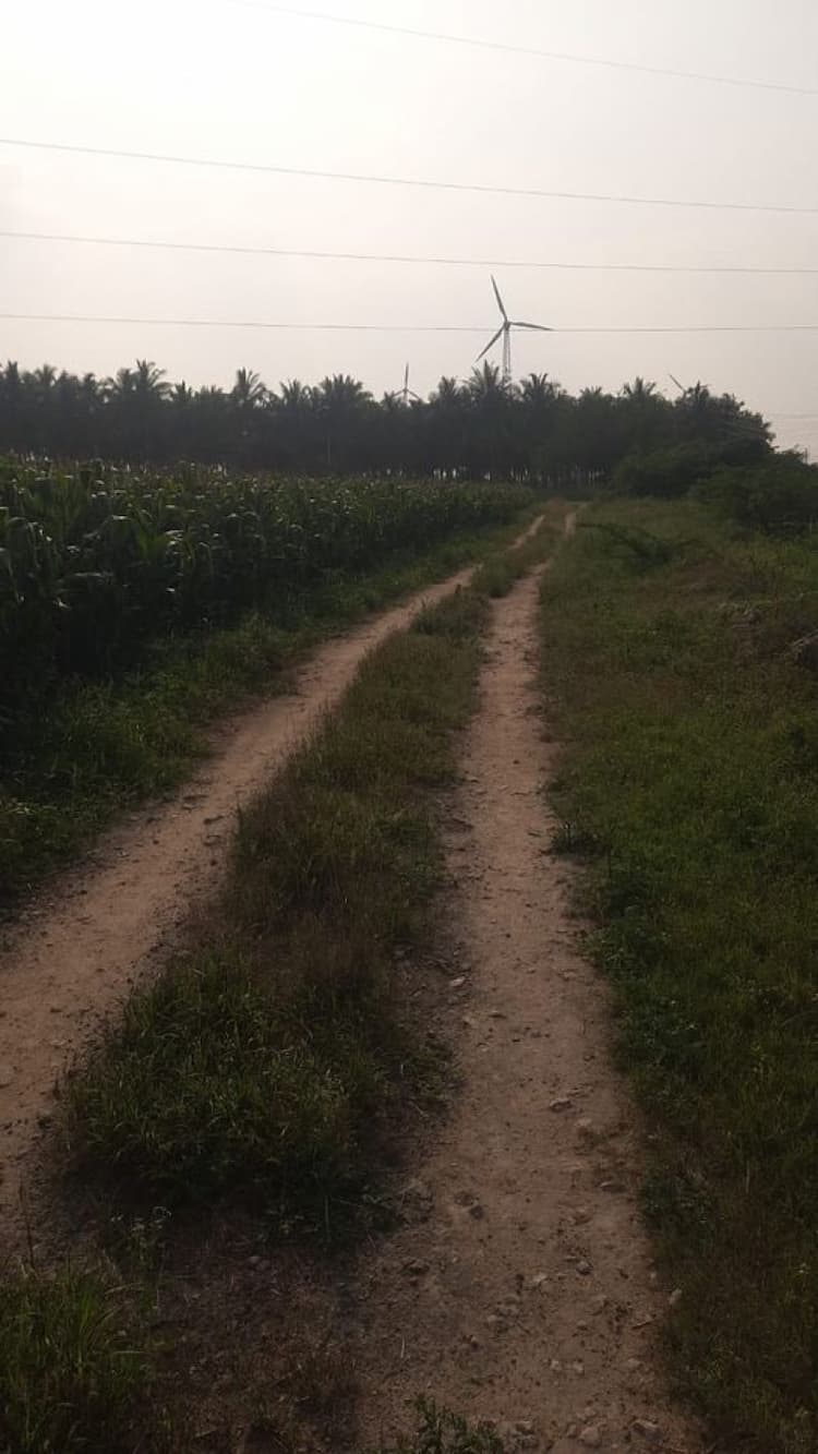 2acre garden for sale