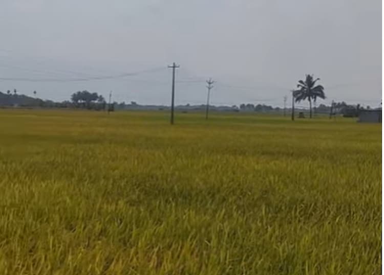 land for sales