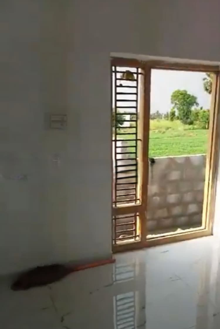 House for sales