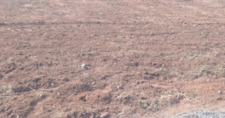 Land for sales