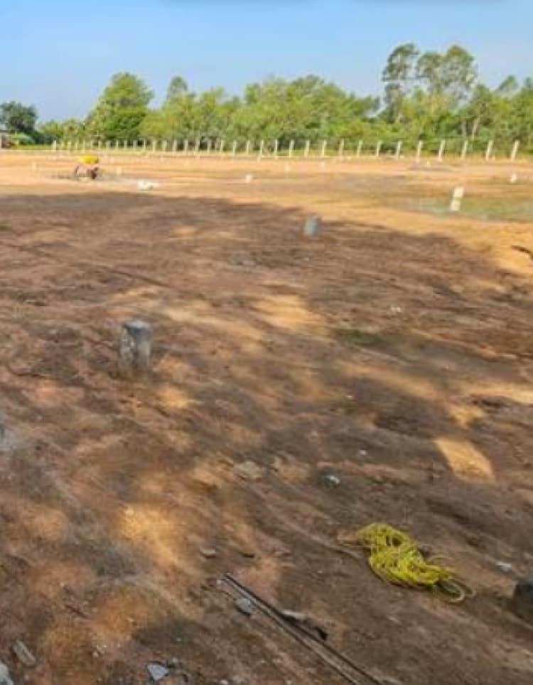plot for sale 
