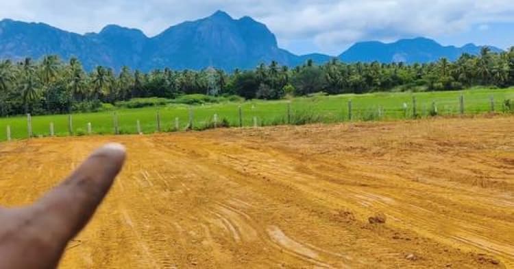 Land for sale