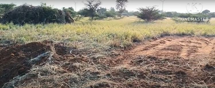 40 cent Land for Sale in Low Budget