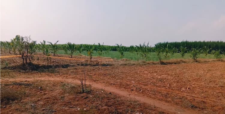 Agri Land For Sale