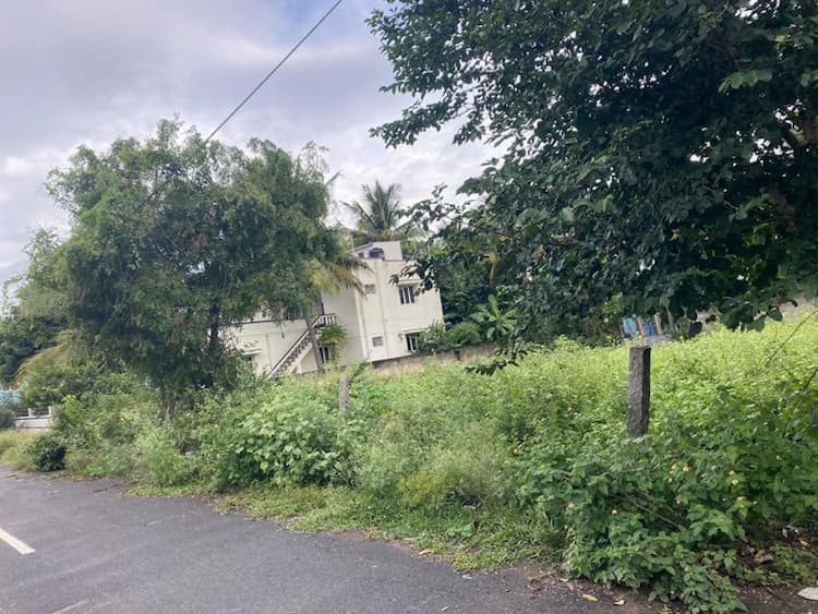 PLOTS FOR SALE
