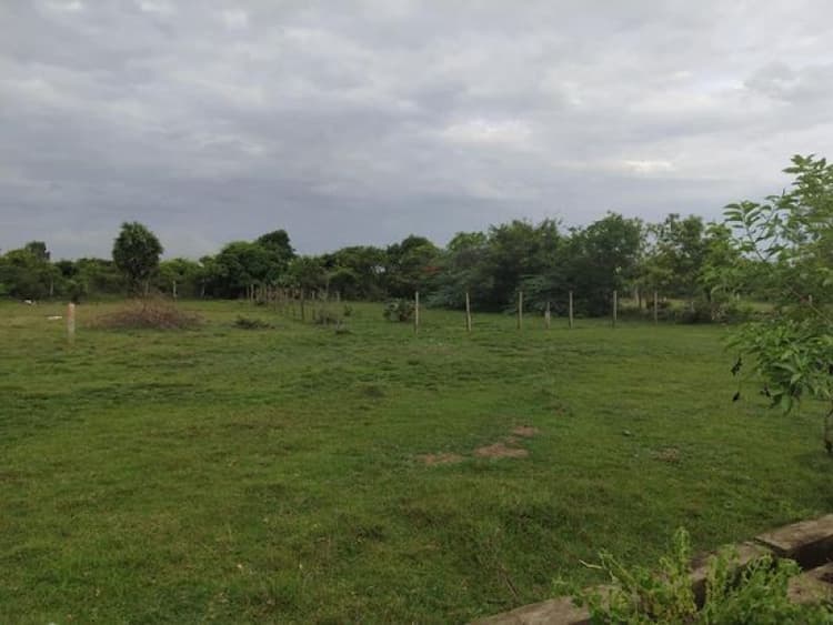 Plot sale