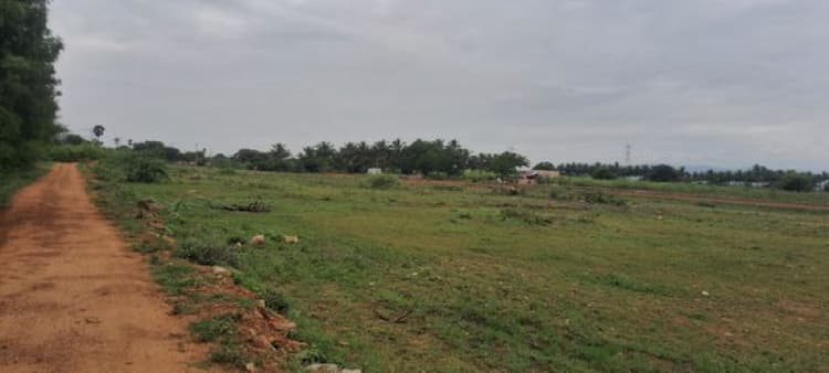 Empty Land for Sale