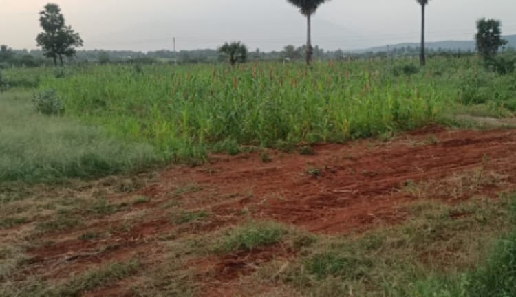 Land for sales