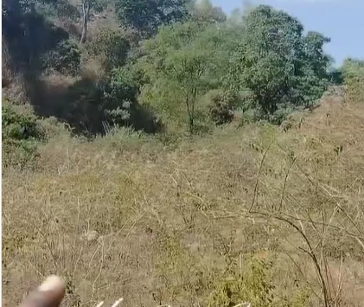 Land for sales