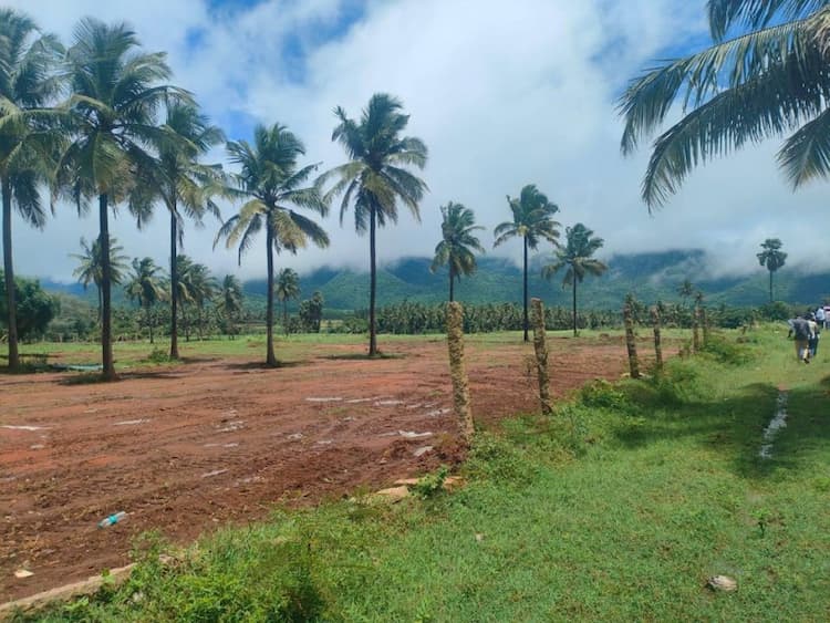 FARM LAND FOR SALE