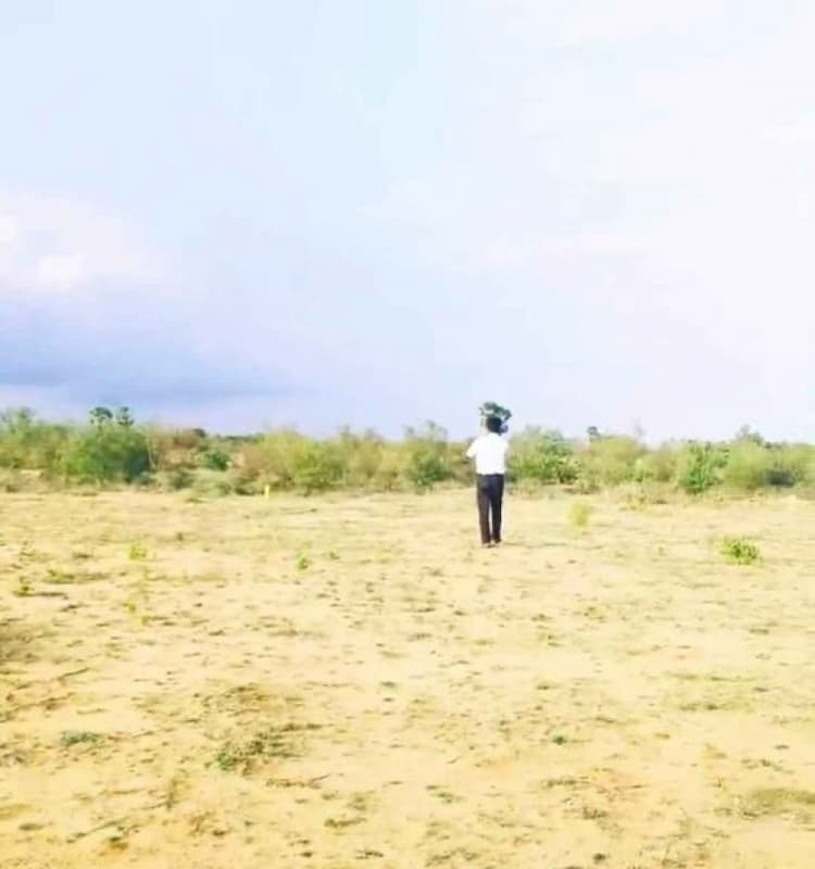 Plot sale