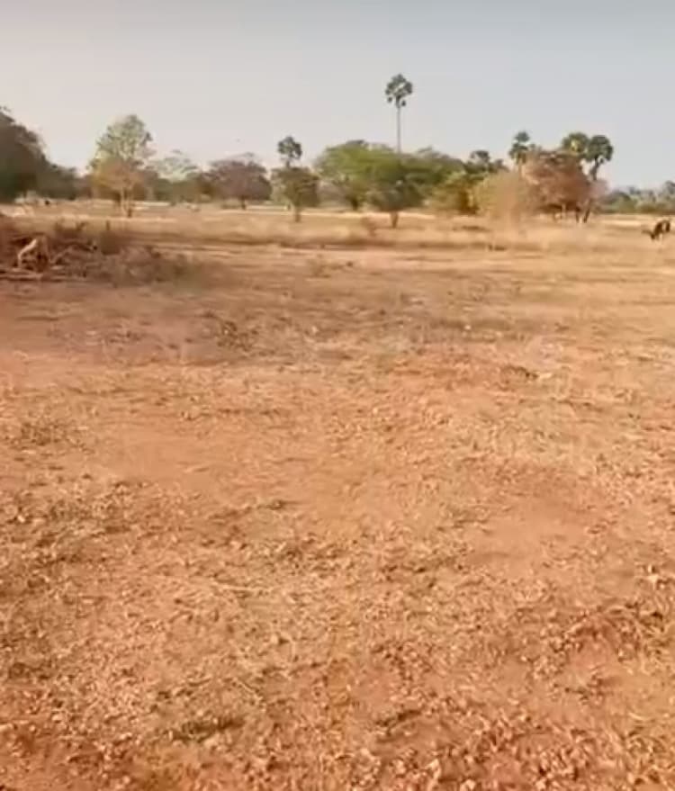 Farm Land for Sale
