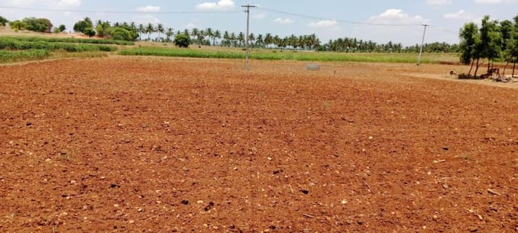 Land for sales