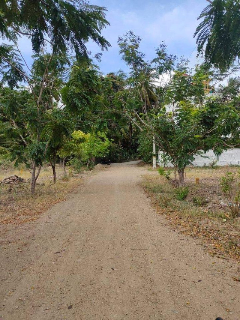 site for sale