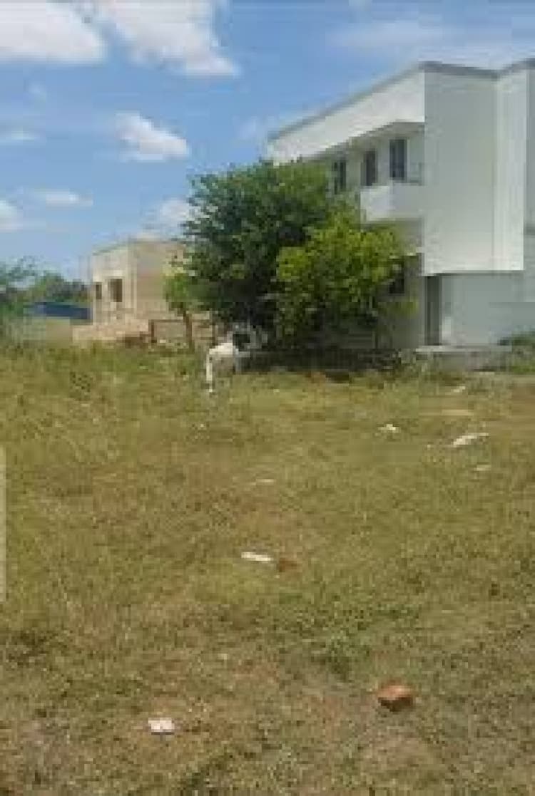 Plot sale