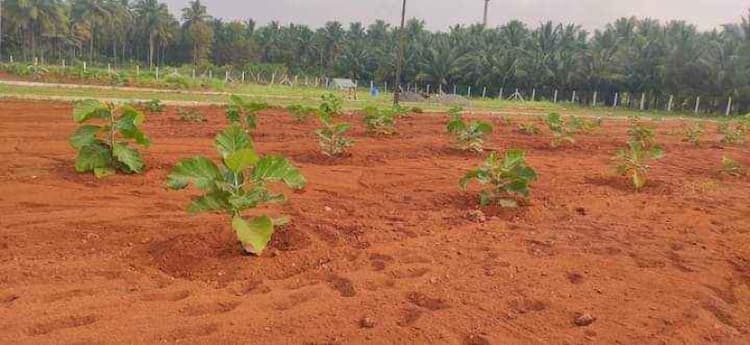 Single Property Image