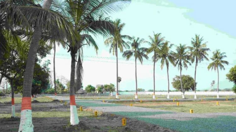 Single Property Image