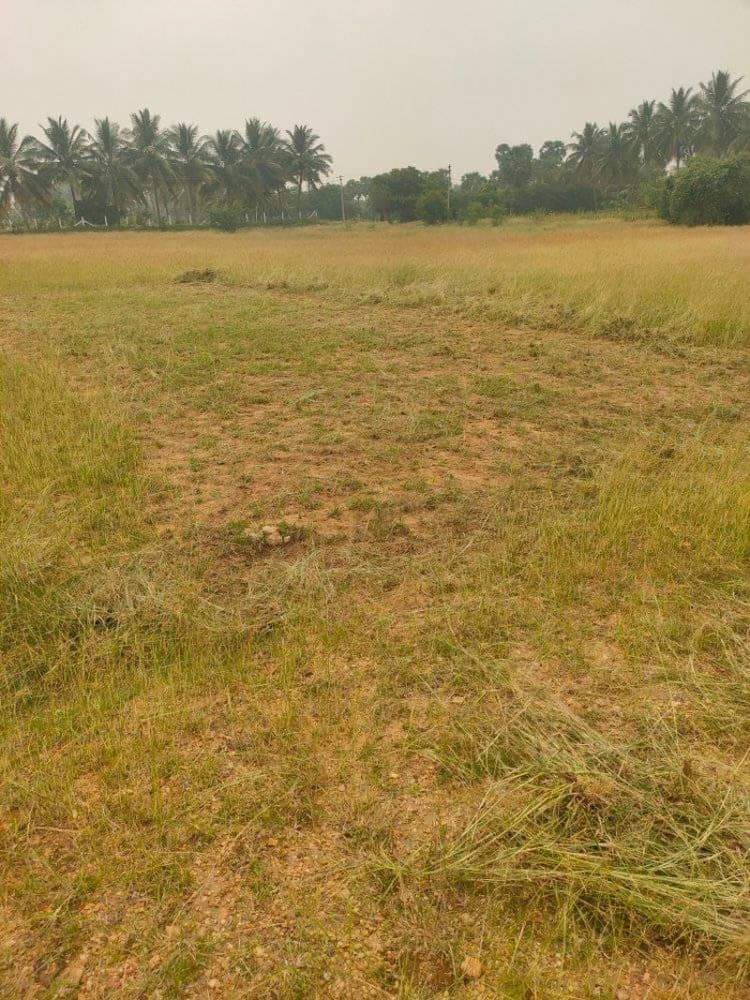 3.75 Acre Land for Sale
