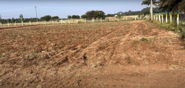 65 Cent Land for Sale