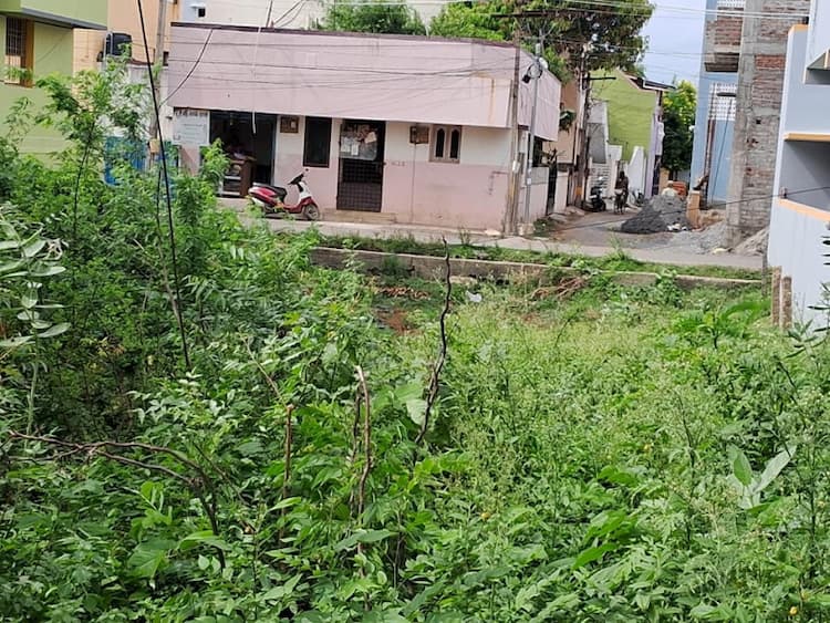 Land for sales