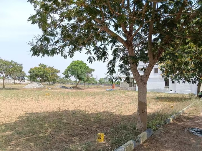 Residential Plot