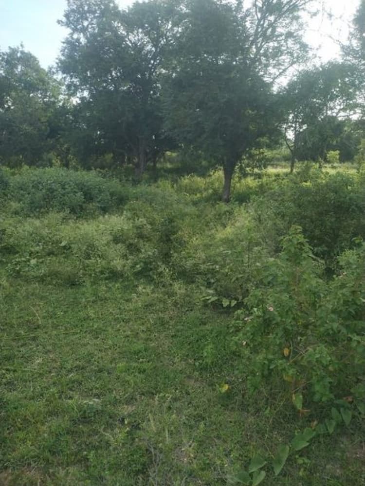 Land sale
