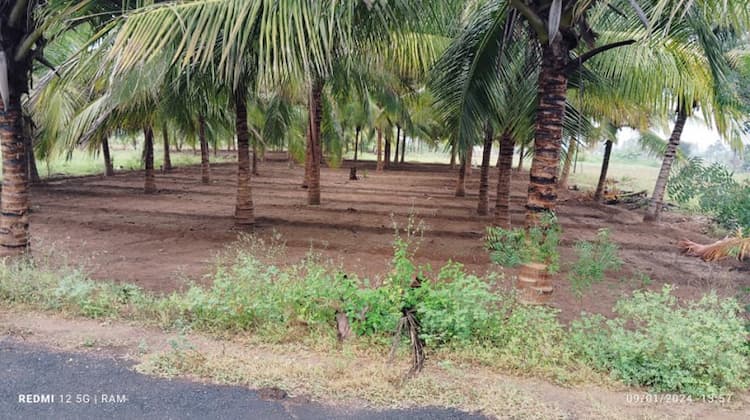 2 acre for Sales