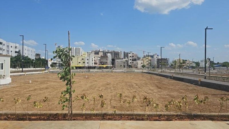 Residential Plot