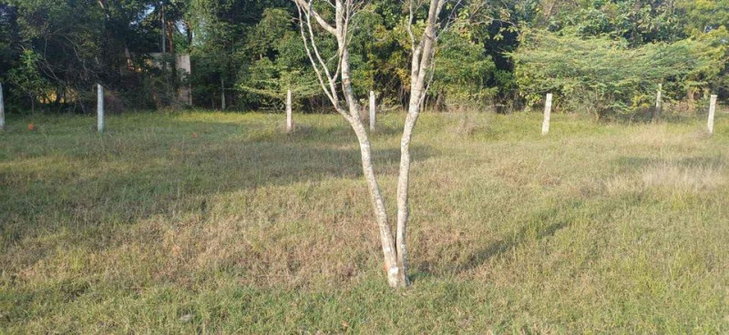 Plots for sale