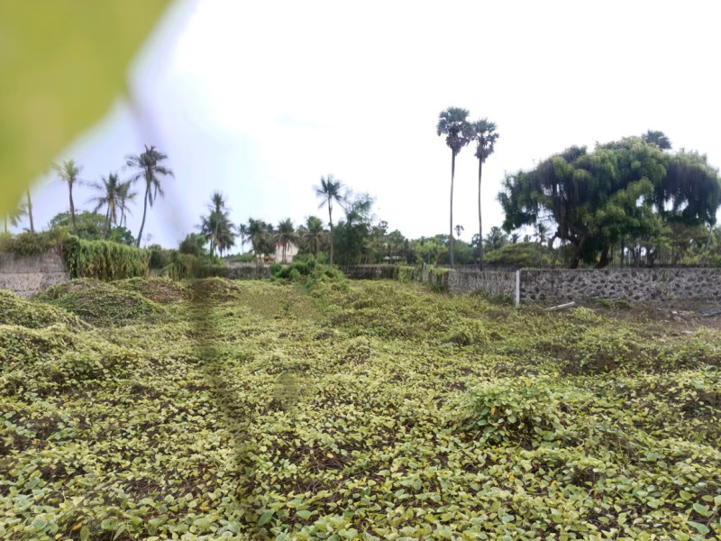 site for sale 