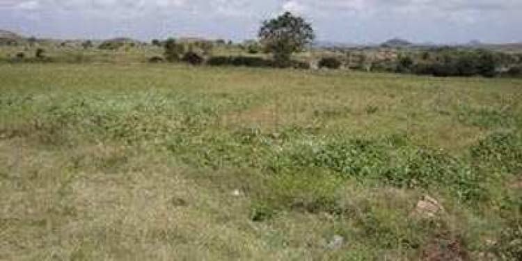 Plot sale