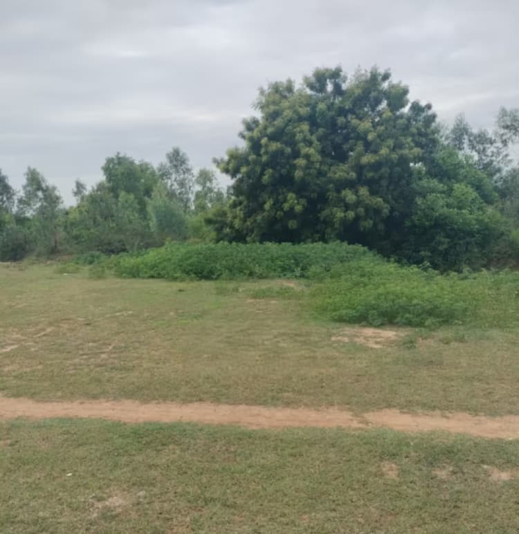 Land for sales