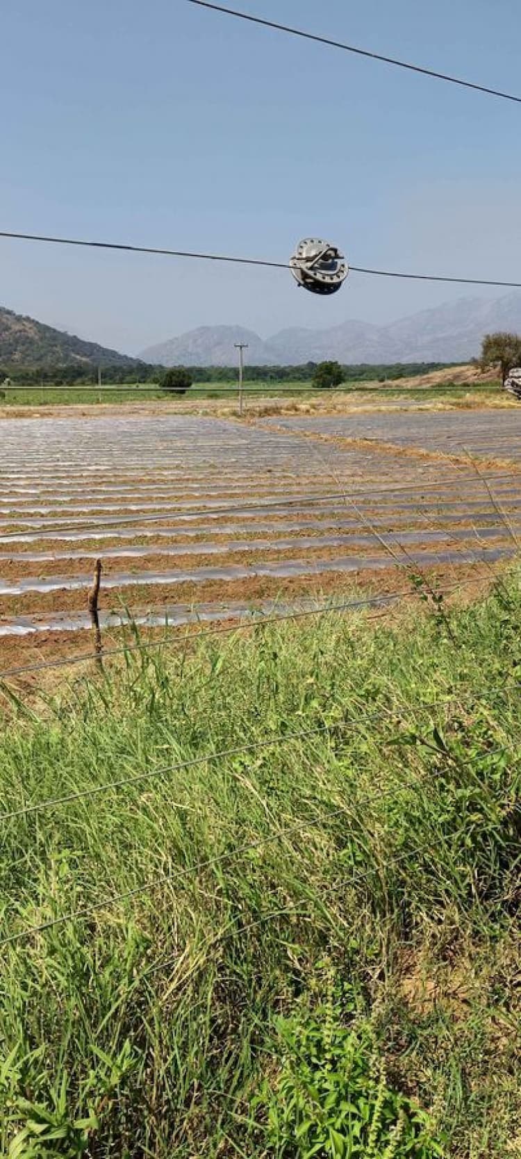 agri land for sale