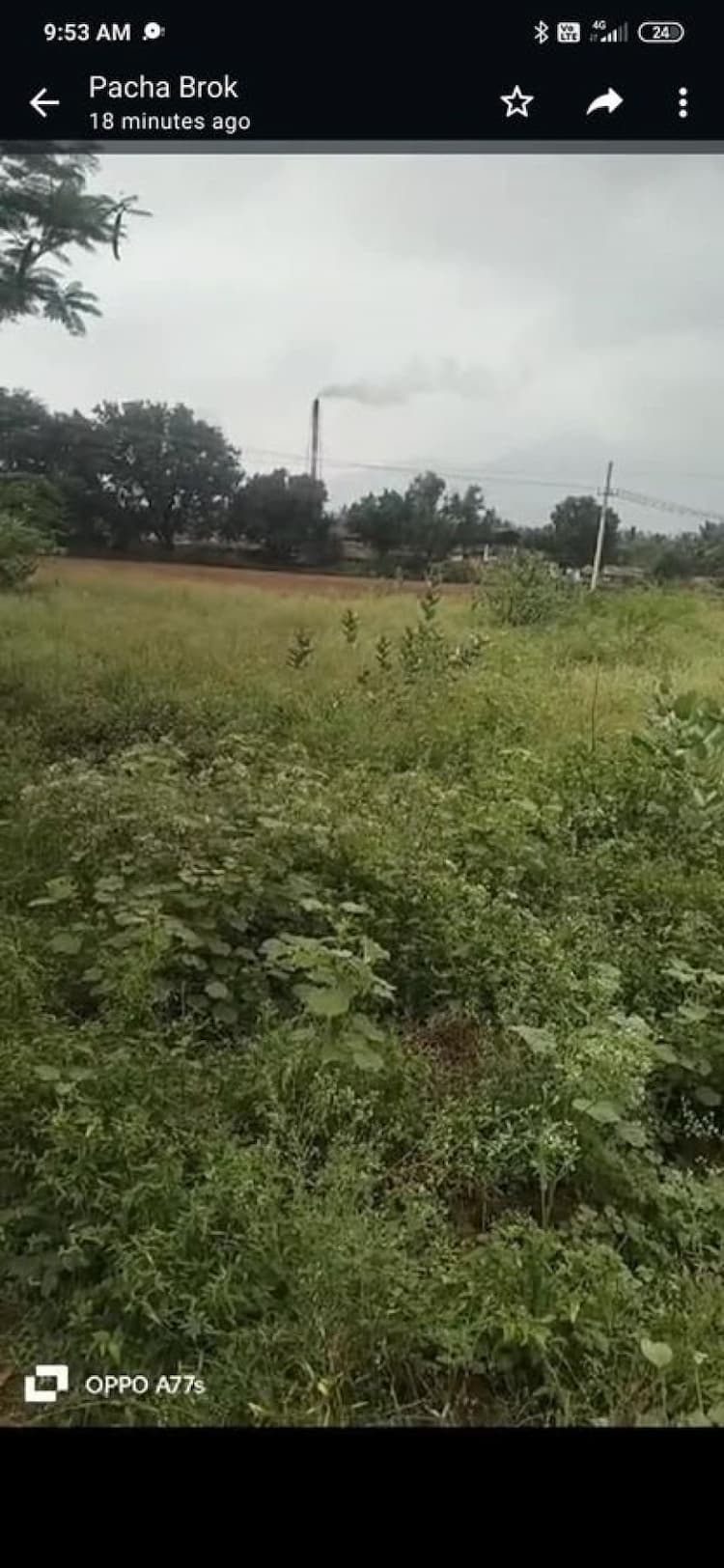 agri land for sale 
