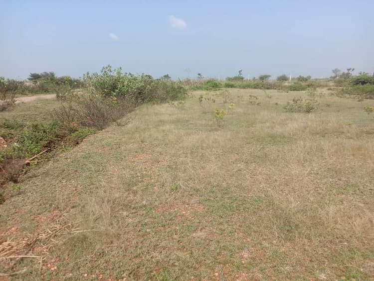 Agricultural Land 