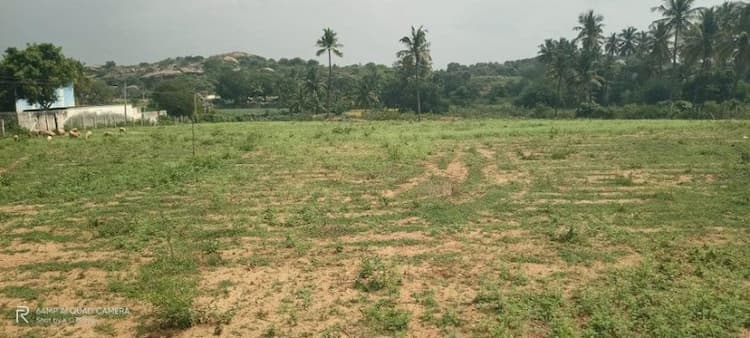 Plot for sale