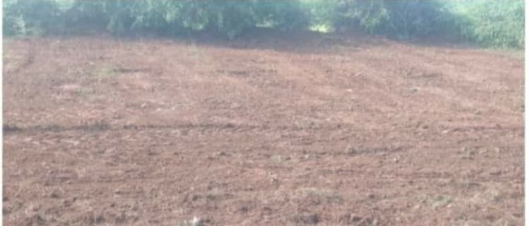 Land for sales