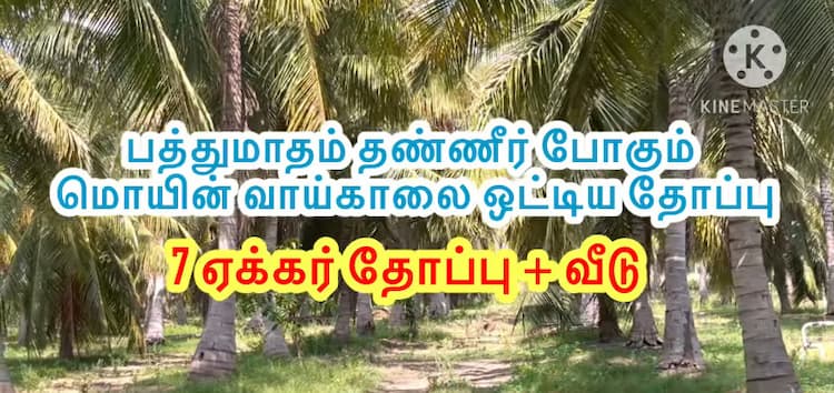Single Property Image