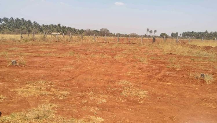 Plot for Sale