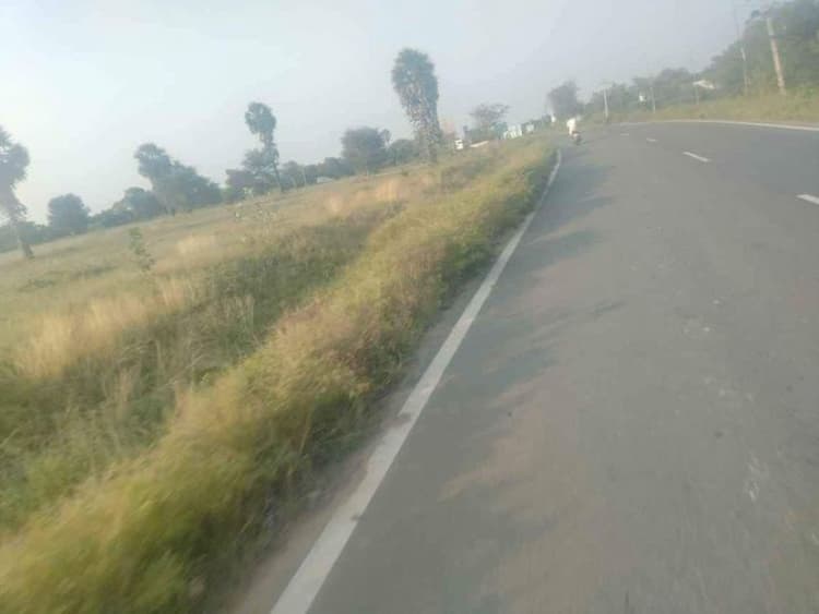 Farm Land For Sale