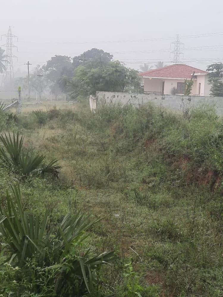 Single Property Image