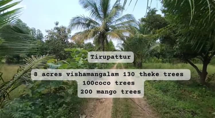 8 Acre Agri Land For Sale