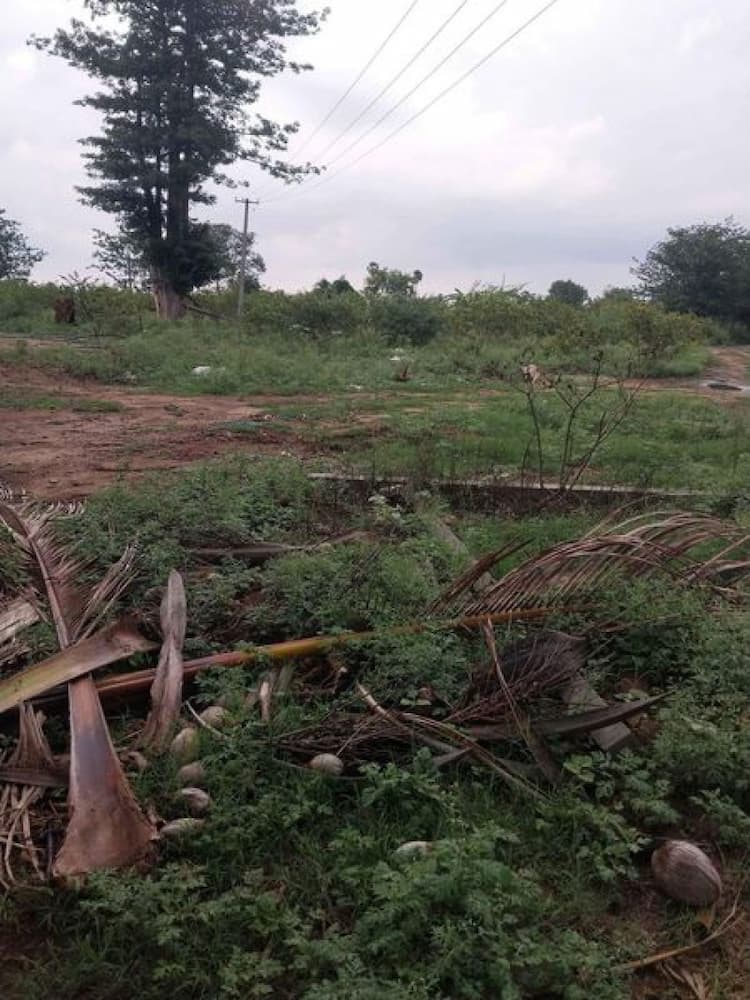 Land for Sale