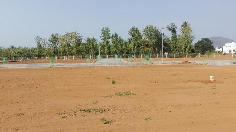 Residential Plot