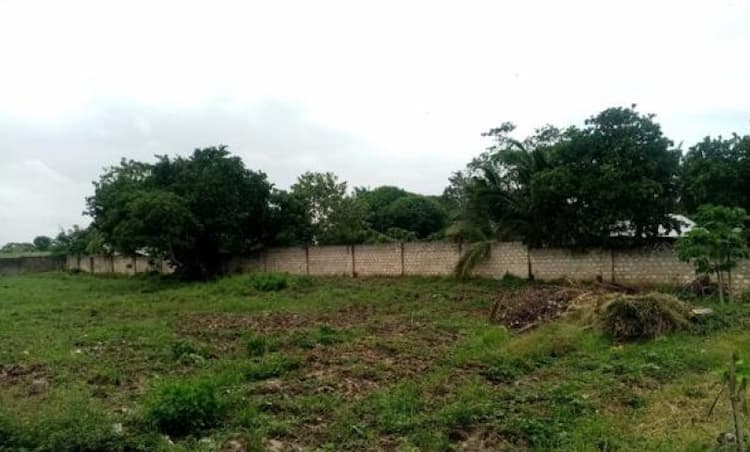 Land for Sale