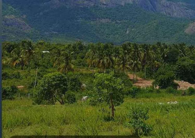 Single Property Image
