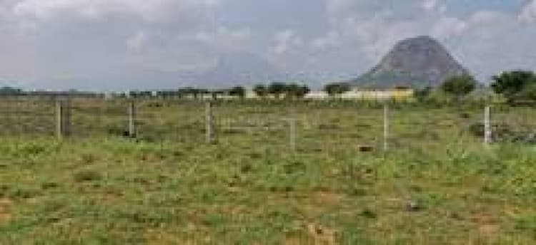 Plot sale