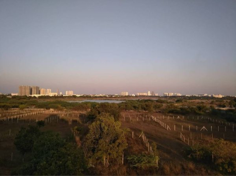 Plot sale