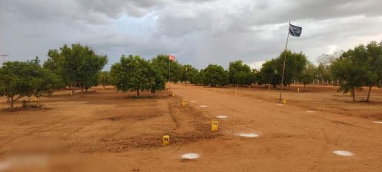 land sale
